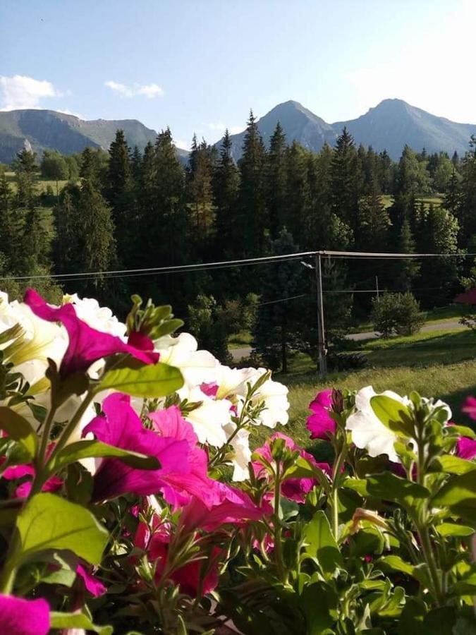 Hotel Penzion Blanka Ždiar Zewnętrze zdjęcie